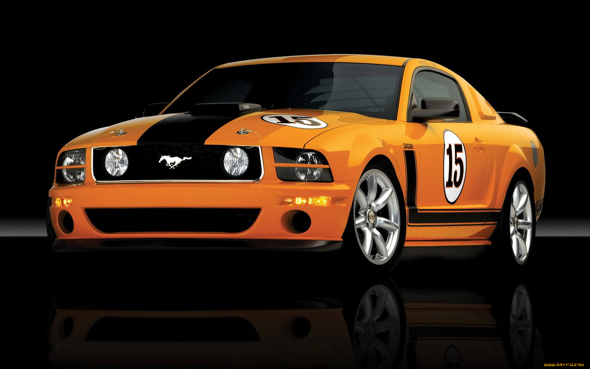 , mustang